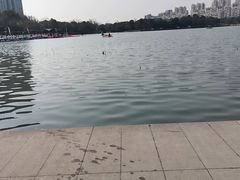 -南翔镇银翔湖公园