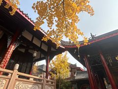 -上海柏悦酒店