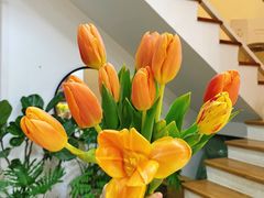 -森野花艺培训·企业团建活动沙龙