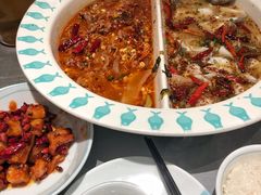 -姚姚酸菜鱼·金戈戈香港豉油鸡(喜荟城联名店)