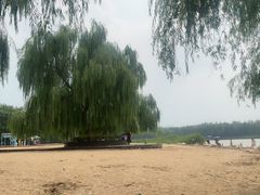 -大兴滨河森林公园