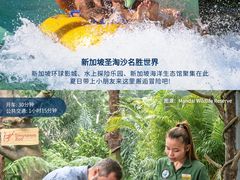 -新加坡乌节希尔顿酒店
