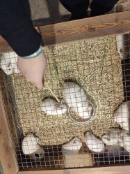 -酷嗒动物文化乐园(cutezoo西溪乐天城店)