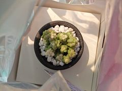 -远大购物中心(南岗店)