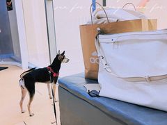 -健身专家Wellness Experts