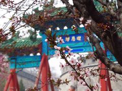 -居庸关长城
