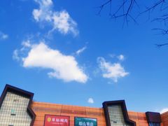 -燕莎友谊商城(金源店)