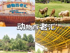 -郑州银基黄帝宫御温泉