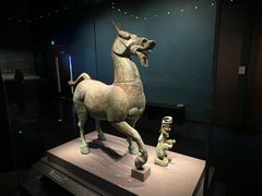 -广西壮族自治区博物馆