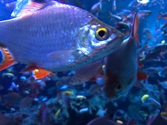 -成都浩海立方海洋公园