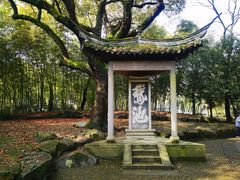 -兰亭风景区