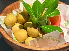 -季季山·云南野生菌火锅(上海首店)