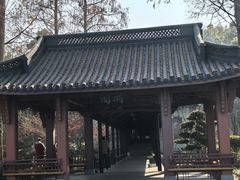 -浙江西子宾馆·瑶园咖啡厅