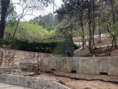 -燕塞湖鸟语林景区