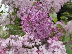 -南礼士路(地铁站)