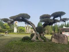 -东平国家森林公园