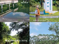 -火炉山森林公园
