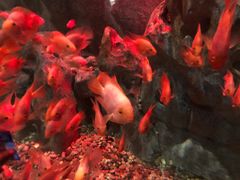 -苏州海洋馆