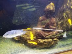 -水碾河刘老大串串香(水碾河路店)