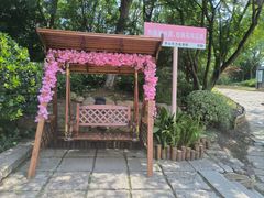 -茅山东方盐湖城景区