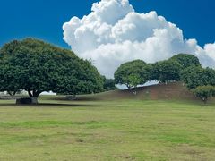-红花山公园