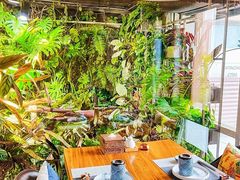 -森味薪火烧•烧鸟居酒屋•日本料理(望京店)