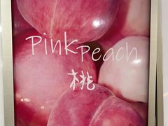 -雾与山茶(大禹城店)