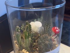 -七彩云南庆沣祥茶庄(金融街店)