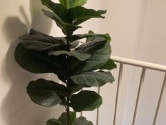 -红像馆连锁精致证件照职场照(中关村店)
