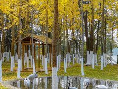 -艾溪湖湿地公园