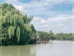 -乌镇西栅景区