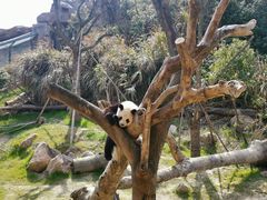 -宁波野生动物园