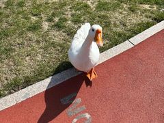 -大连理工大学(凌水校区)