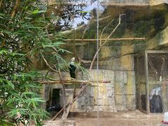 -黔灵山公园