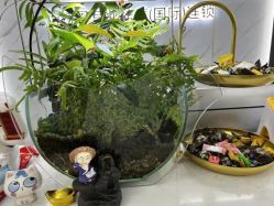 -蕾特恩专业祛痘国际连锁