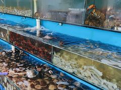 -港畔赶海蒸汽海鲜烧烤自助(仙螺岛店)