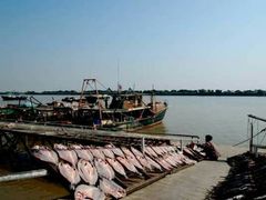 -南沙十九涌渔人码头-南门