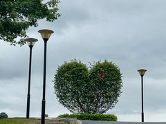 -东莞植物园