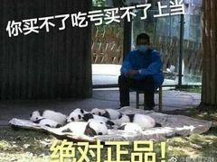 -舒蔡记生煎菜饭(云南中路店)