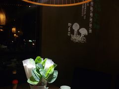 -探窝·竹笙椰子鸡(杨箕店)