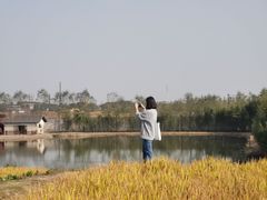-乌村