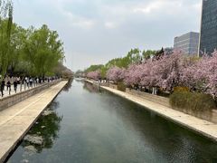 -元大都城垣遗址公园