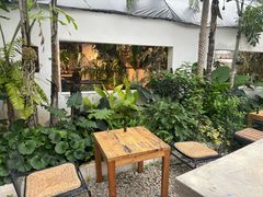 -自由生长植物工作室(深港花卉中心店)