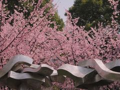 -静安雕塑公园