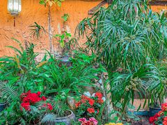 -园林美食城·本土农家菜(杨和镇店)