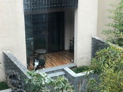 -上海崇明金茂凯悦酒店