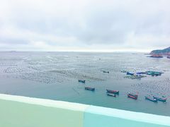 -枸杞岛