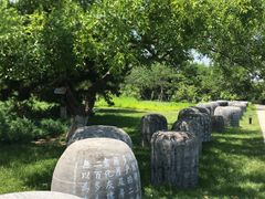 -中国人民抗日战争纪念雕塑园