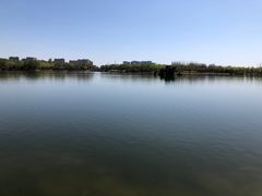 -大兴滨河森林公园