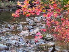 -本溪老边沟风景区